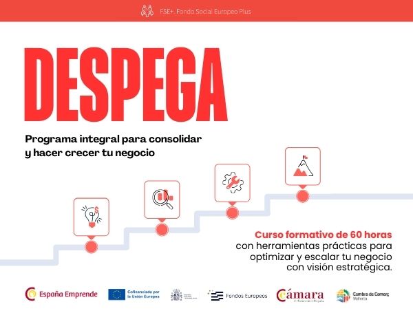 DESPEGA: Programa integral para consolidar y hacer crecer tu negocio